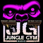 cover: Vibrant Junglist - Not Ready 2 Let U Go