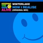 cover: Winterlake - Now I Realise