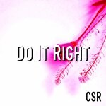 cover: Adasi - Do It Right (Original Mix)