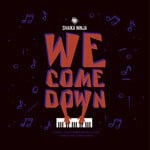 cover: Shaika Ninja - We Come Down