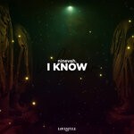 cover: Nineveh. - I Know