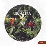 cover: Deep2tech - Sumatra