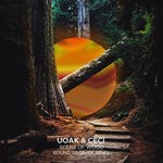 cover: Ceci|Uoak - Scent Of Wood (Bound To Divide Remix)