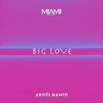 cover: Abdulhamid - Big Love