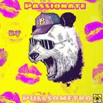 cover: Pullsometro - Passionate