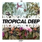 cover: Various - Tropical Deep, Vol 24