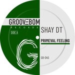 cover: Shay Dt - Primeval Feeling