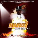 cover: Brandish - What's Going On