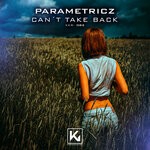 cover: Parametricz - Can't Take Back