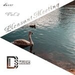 cover: Various - Pleasant Meeting Vol 2