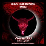 cover: Vaessar303 - Endless Light