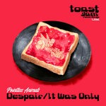 cover: Pointless Animals - Despair / It Was Only