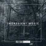 cover: Various - Ingredient Music Vol 55