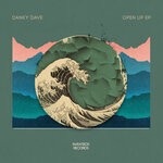 cover: Danky Dave - Open Up EP