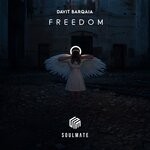 cover: Davit Barqaia - Freedom