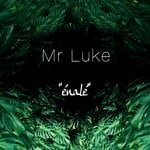 cover: Mr Luke - Enale