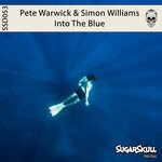 cover: Pete Warwick|Simon Williams - Into The Blue