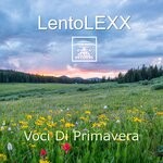 cover: Lentolexx - Voci Di Primavera