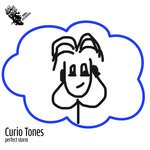 cover: Curio Tones - Perfect Storm