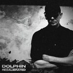 cover: Dolphin - Recalibrated