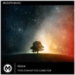 cover: Pekka - This Is What You Came For