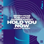 cover: Benny Page - Hold You Now (SubLow Hz Remix)