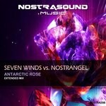 cover: Nostrangel|Seven Winds - Antarctic Rose (Extended Mix)