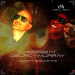 cover: Delroy Murray|Dj Seebeat - Under The Sunshine