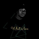 cover: Squash Dj - What Is Love