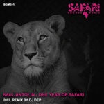 cover: Saul Antolin - One Year Of Safari