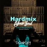 cover: Hardmix - Your Soul