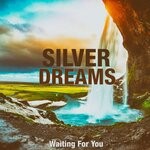 cover: Silver Dreams - Waiting For You