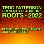 cover: Blackbone - Roots (2022 Remixes)