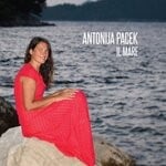 cover: Antonija Pacek - Il Mare