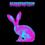 cover: Bunnydeth - Bunnydeth