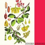 cover: Anton Kubikov - Herbarium, Pt. 3