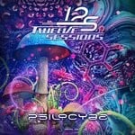 cover: Twelve Sessions - Psilocybe