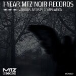 cover: Various - 1 Year MTZ Noir Records