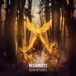 cover: Ressurectz - Born In Flames