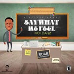 cover: Mention On Da Track|Roi Danz - Say What Me Feel