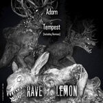 cover: Adorn - Tempest