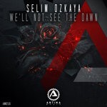 cover: Selim Ozkaya - We'll Not See The Dawn