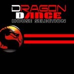 cover: Divorosso - Dragon Dance (House Selection)