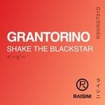 cover: Grantorino - Shake The Blackstar