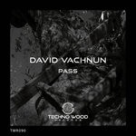 cover: David Vachnun - PASS