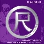 cover: Grantorino - Shake The Blackstar (Alix Alvarez Remixes)