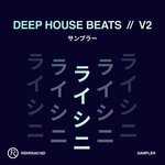 cover: Dj Pap|Flo Sagner & Dj Rahala|Marv Peterson & Edgaro - Deep House Beats V2 (Sampler)