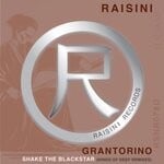 cover: Grantorino - Shake The Blackstar (Kings Of Deep Remixes)