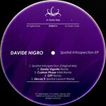 cover: Davide Nigro - Spatial Introspection