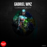 cover: Gabriel Wnz - Confidentiality